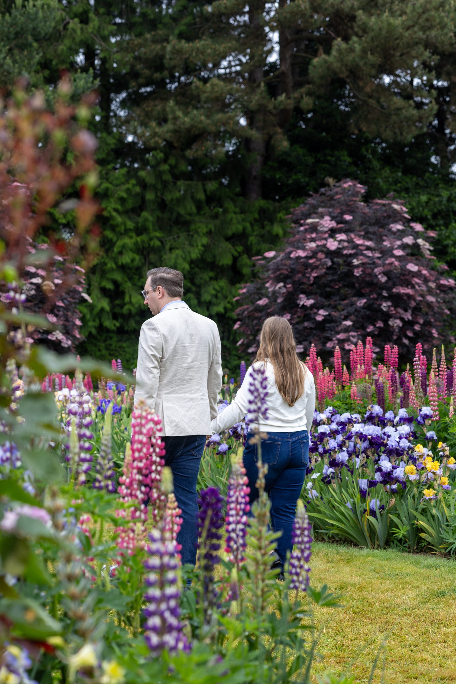Rachel and Daniel walking hand in hand through the lupines