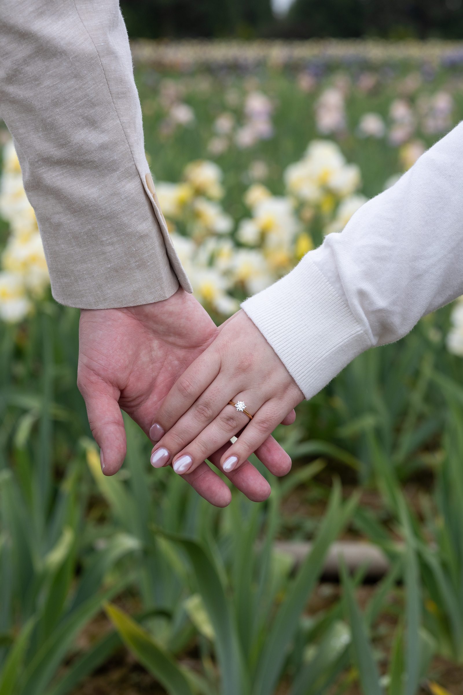 Hands held with engagement ring, iris field in the background
