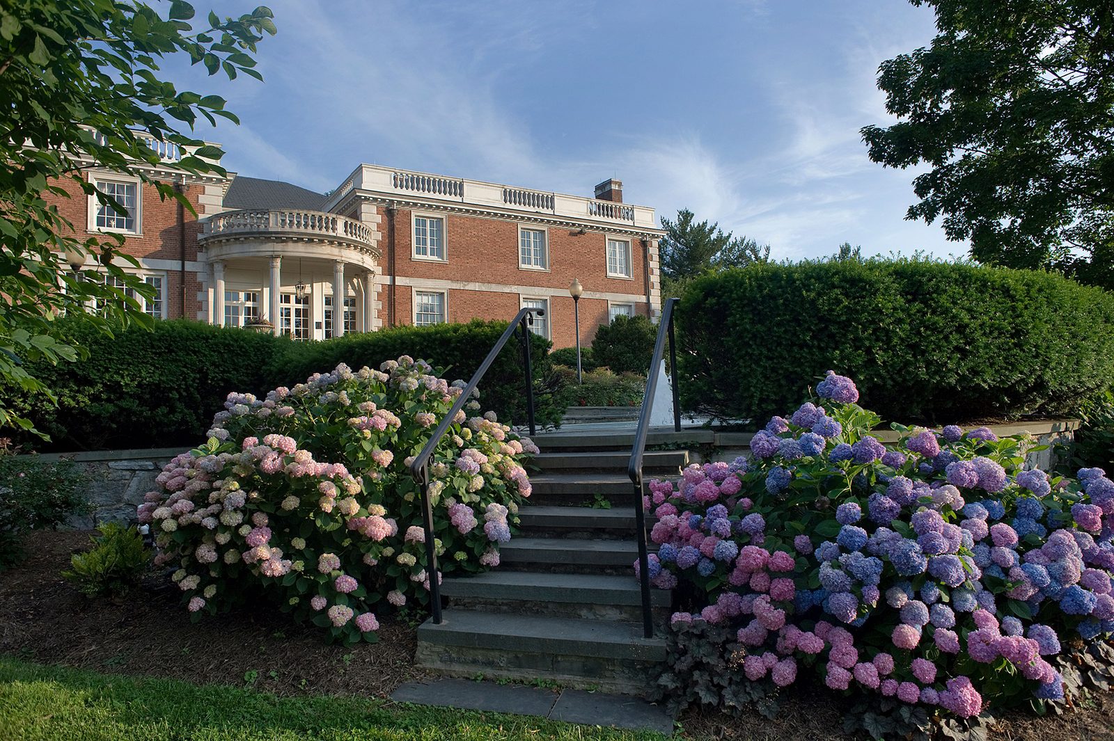 Strathmore Mansion exterior with hydrangea-lined steps
